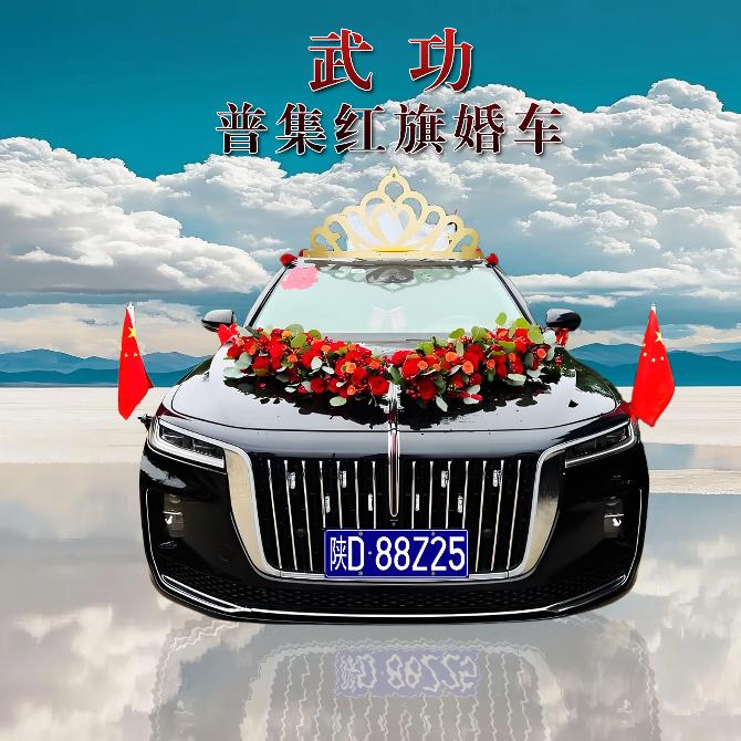武功(普集红旗车队)小伙子