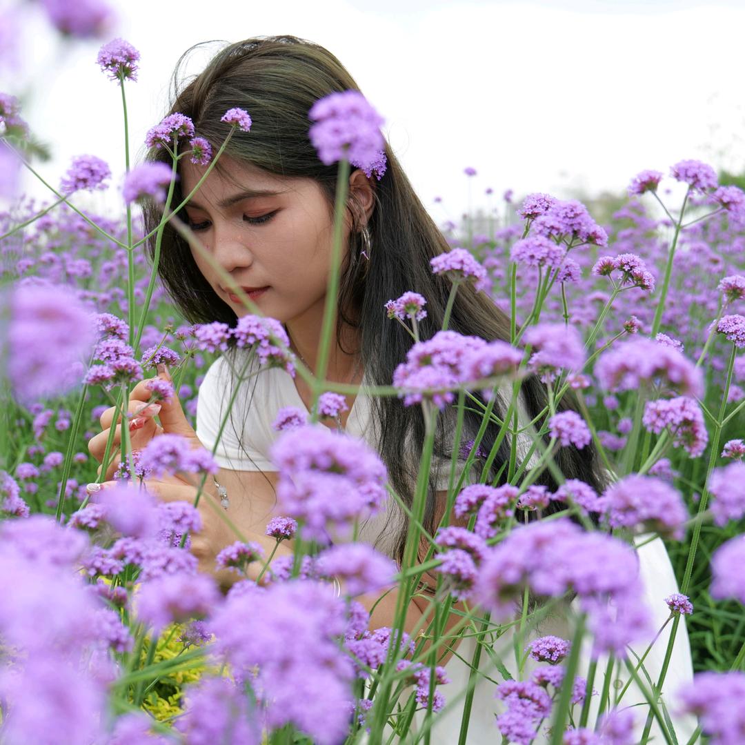 ⭐予我漫天星辰⭐