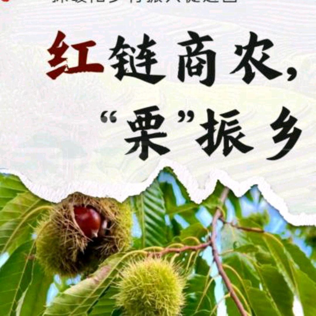 栗争商游振兴团