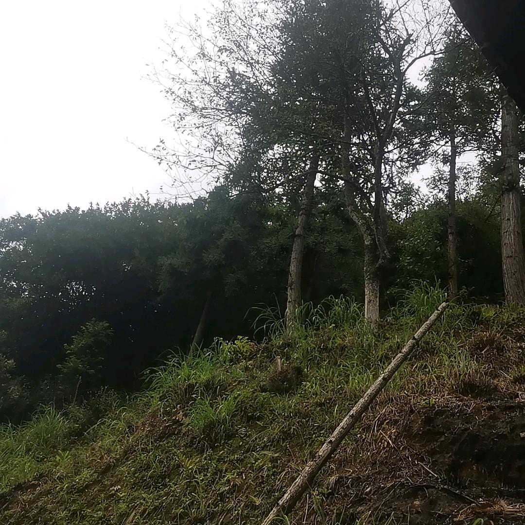 🦾🦾🦾