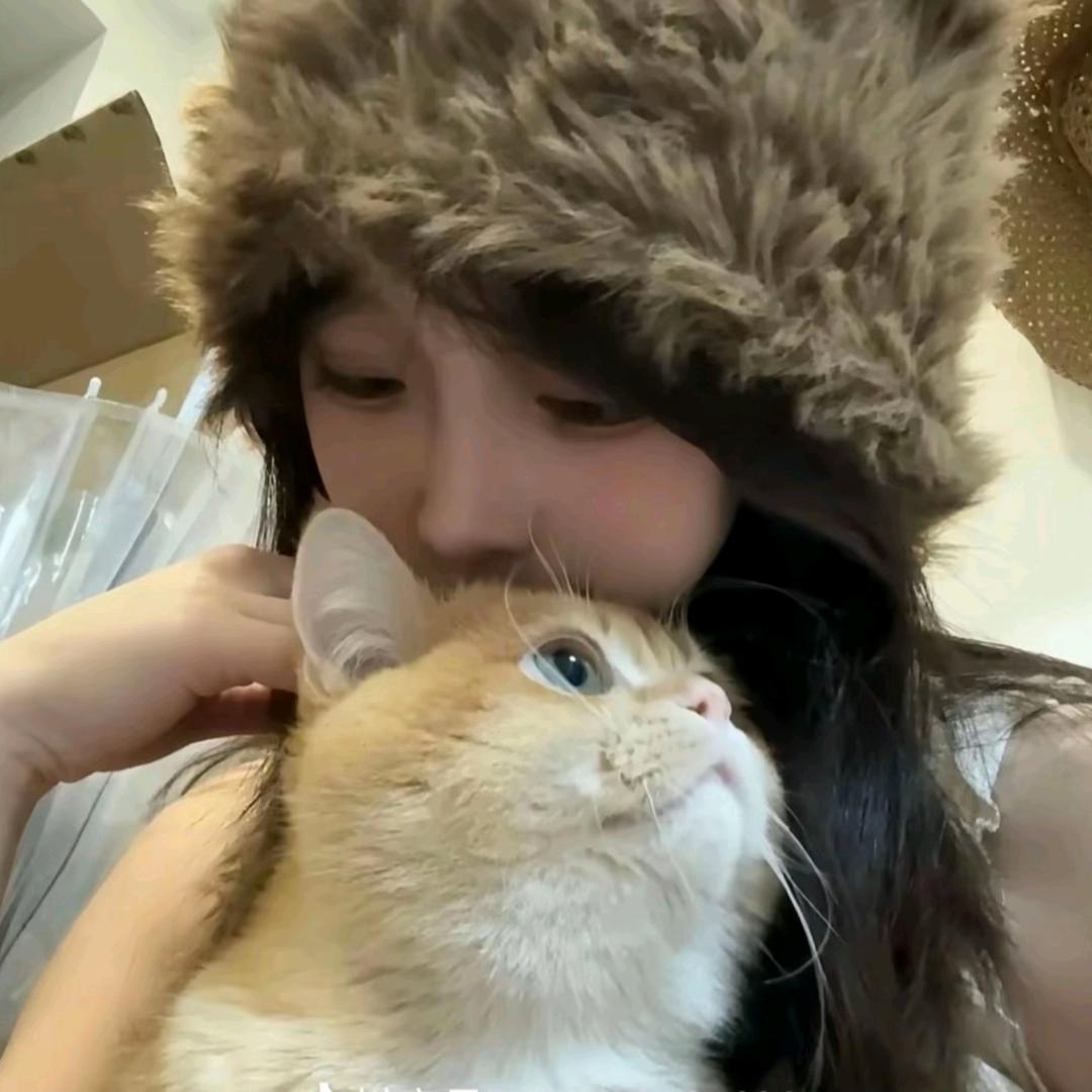 七七👀