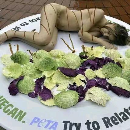 食天下，玩天涯