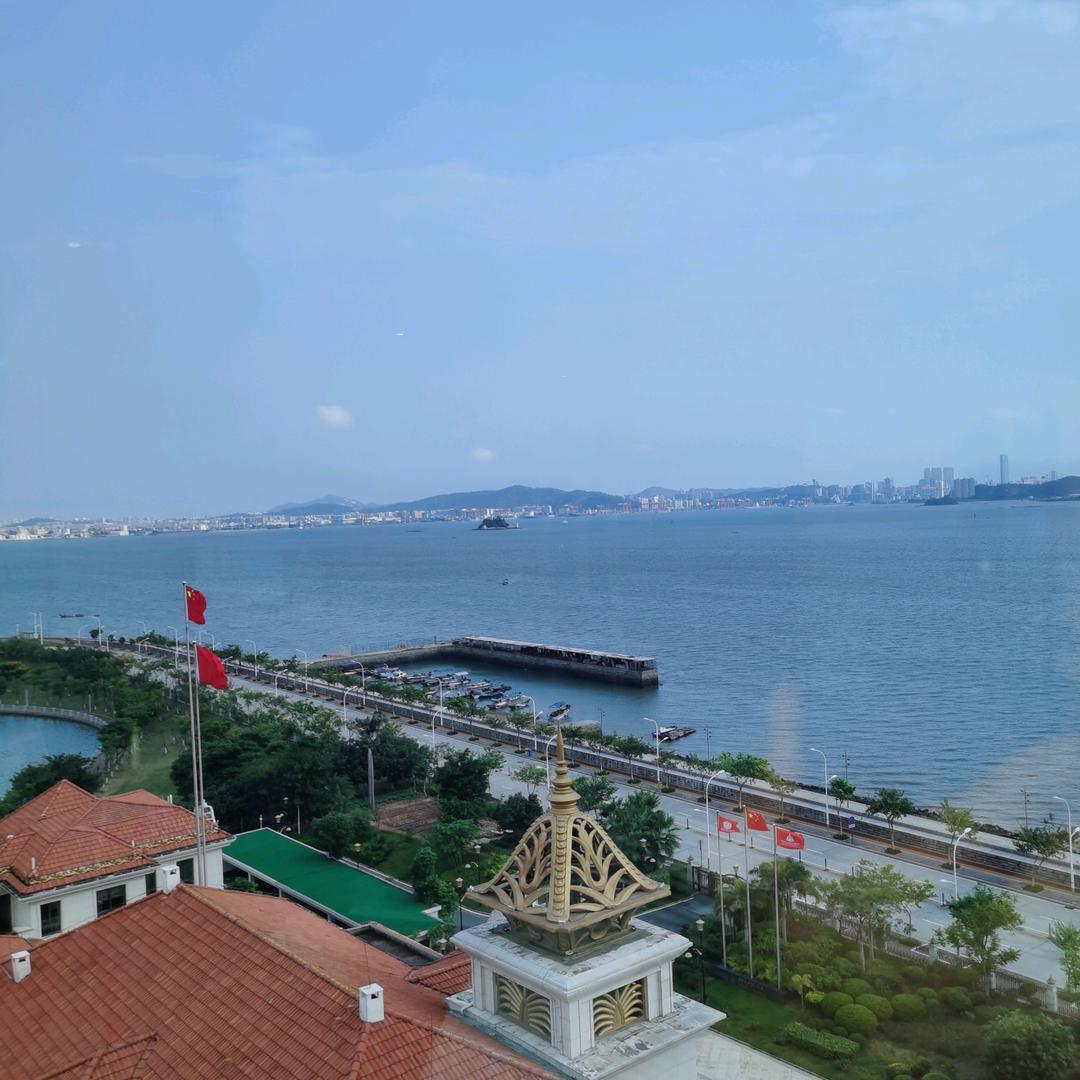 雨林好物分享