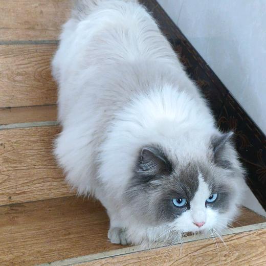 微微一笑很倾城（谢绝连赞）