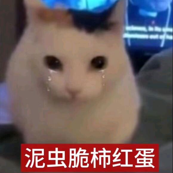 堕灵