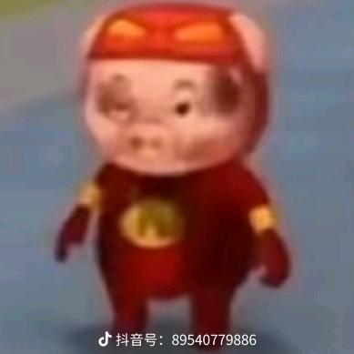 忧郁的莘县人