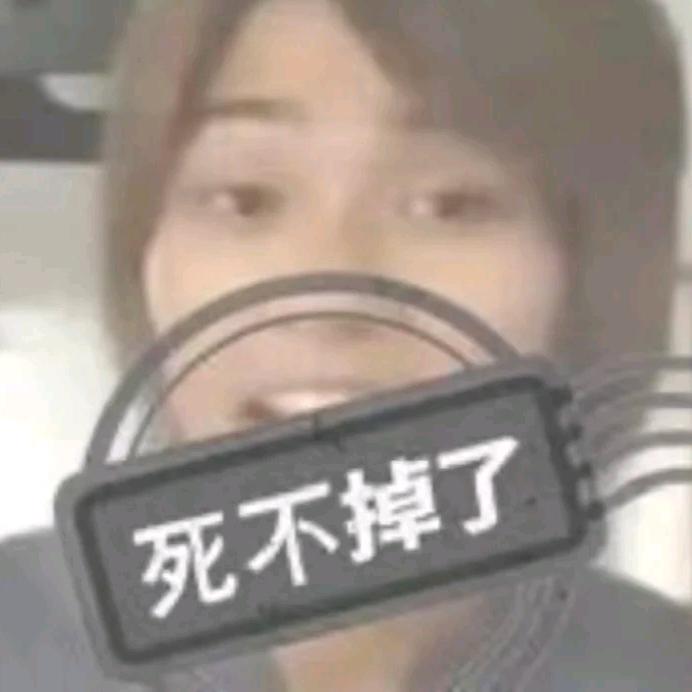 暗影零零柒·烤饭团🕸️