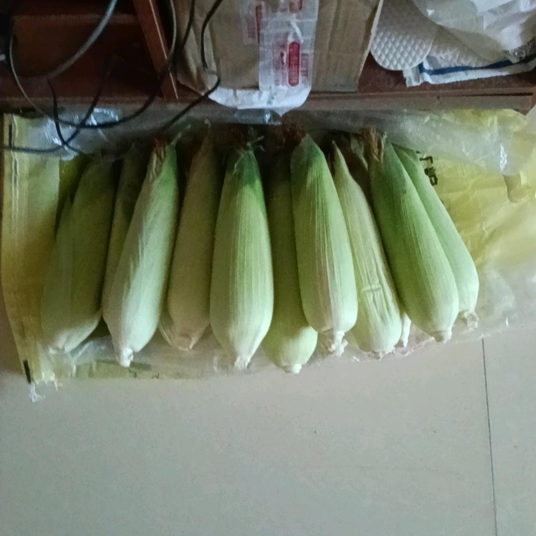 特工沈阳