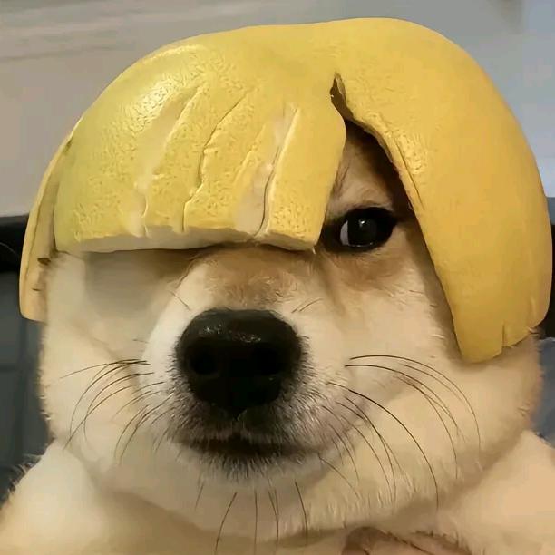 风止痕