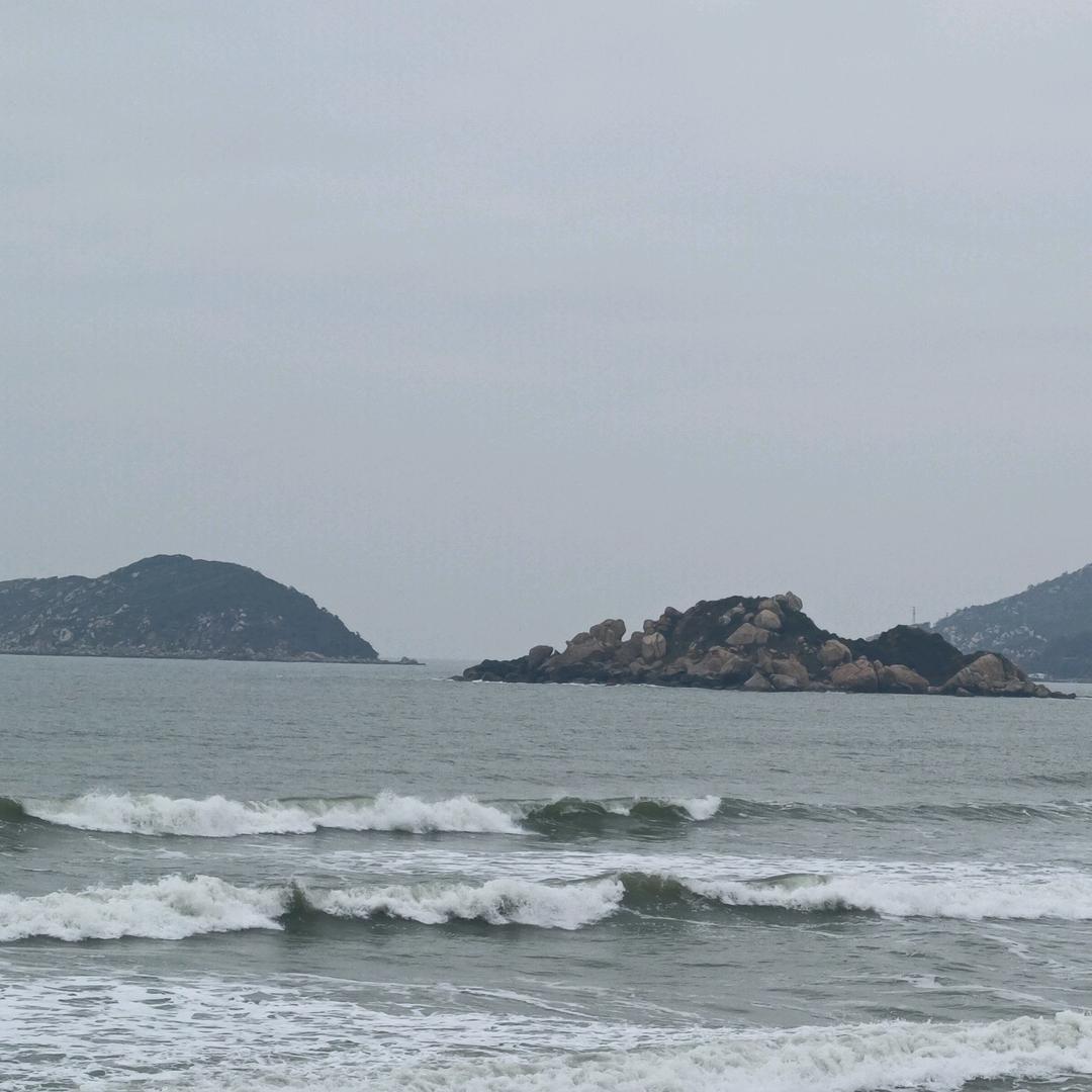白愁飞
