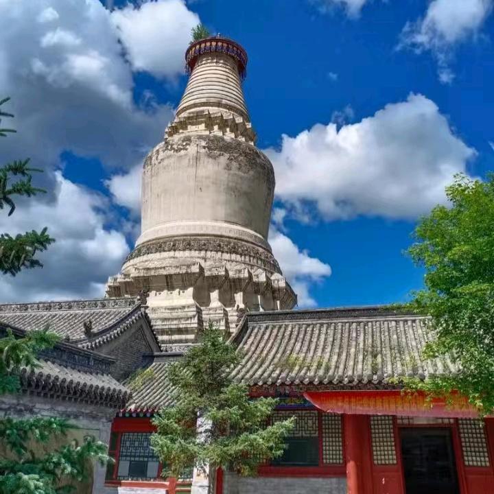 🌲五台山旅游接待🎄