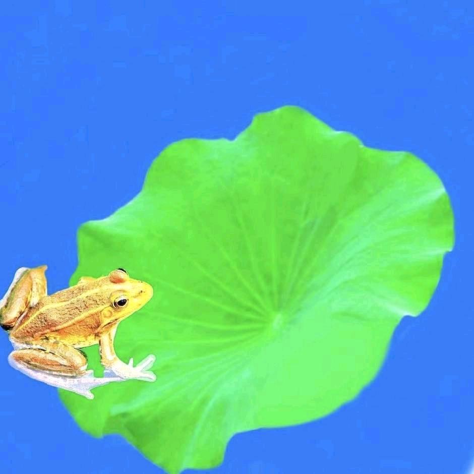 梦想成真