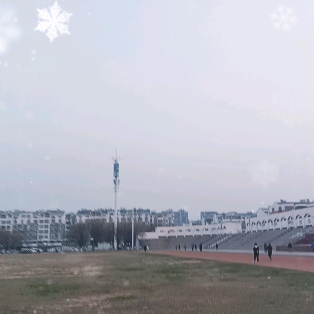 某某某某