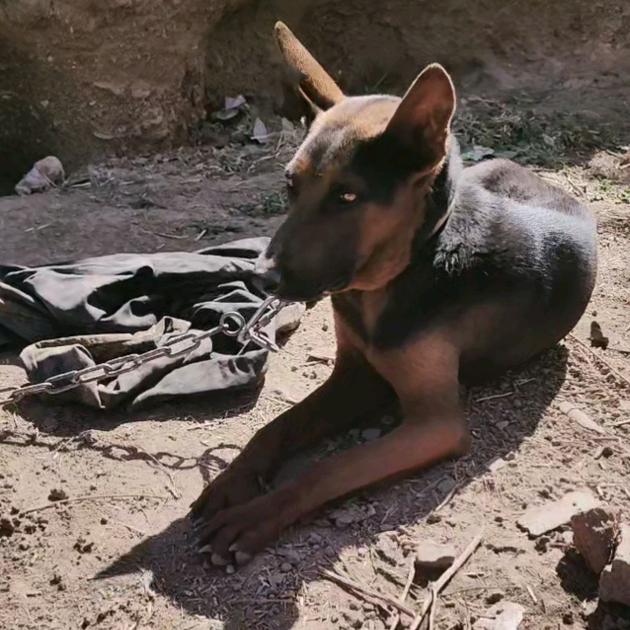 闲的无聊到处逛