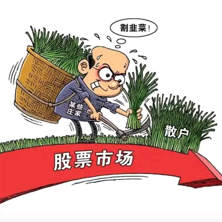 回本的路上