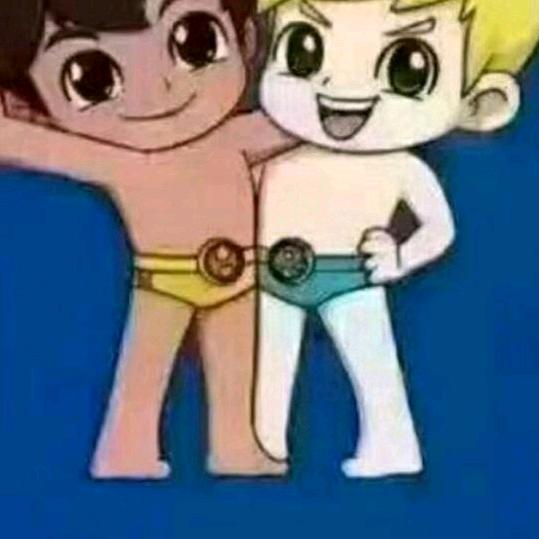 伟星厨电
