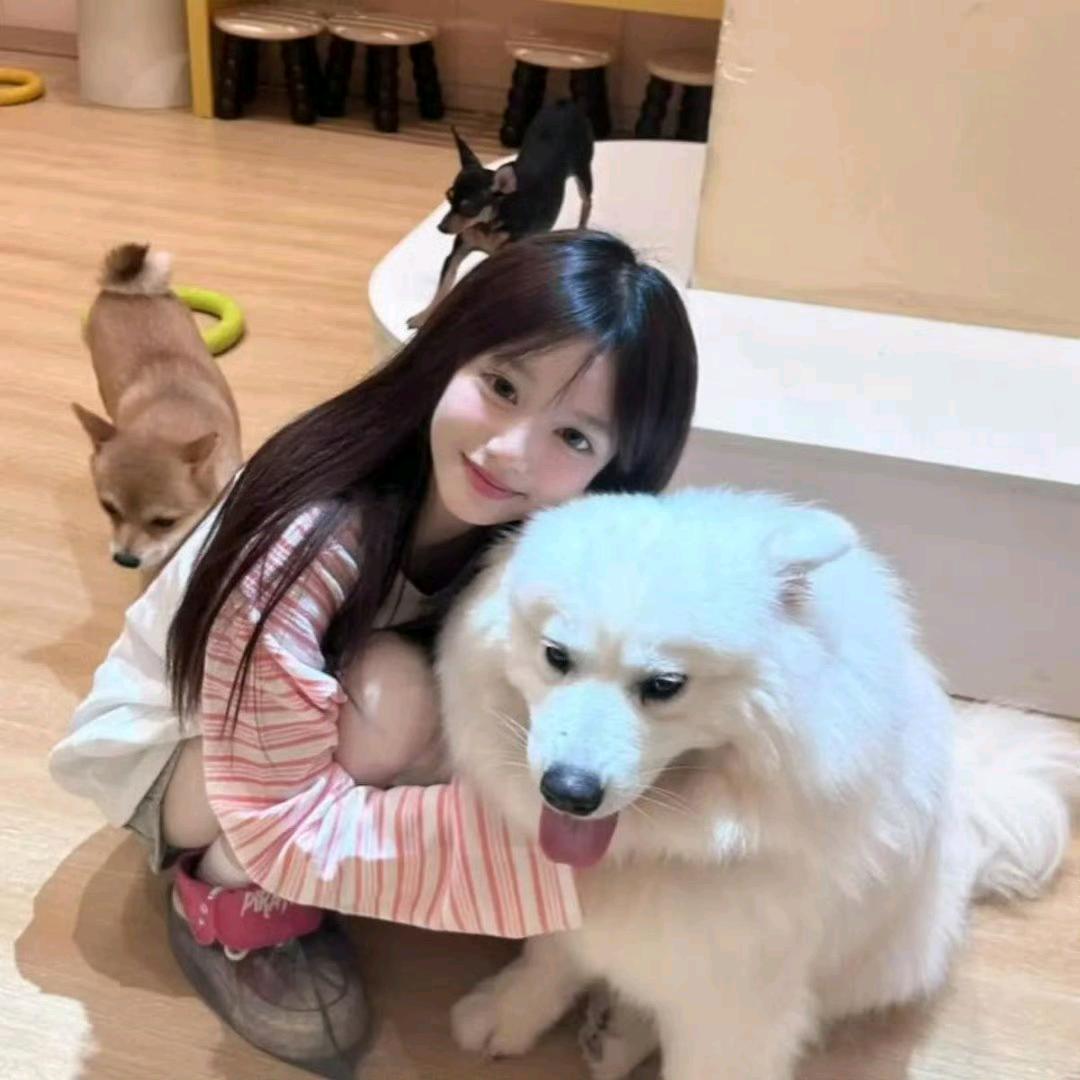 你家猪缺钙吗