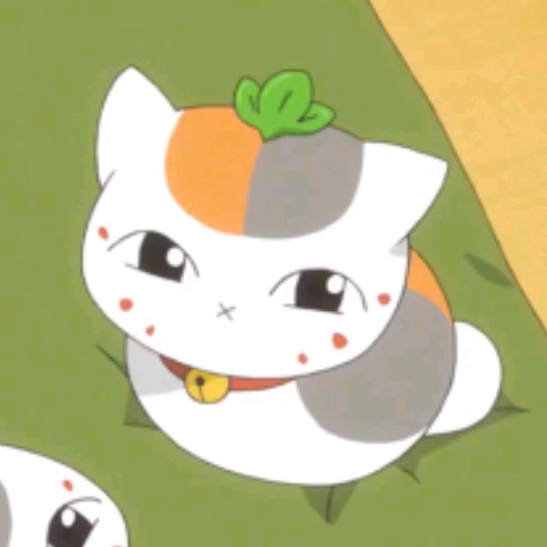 野味