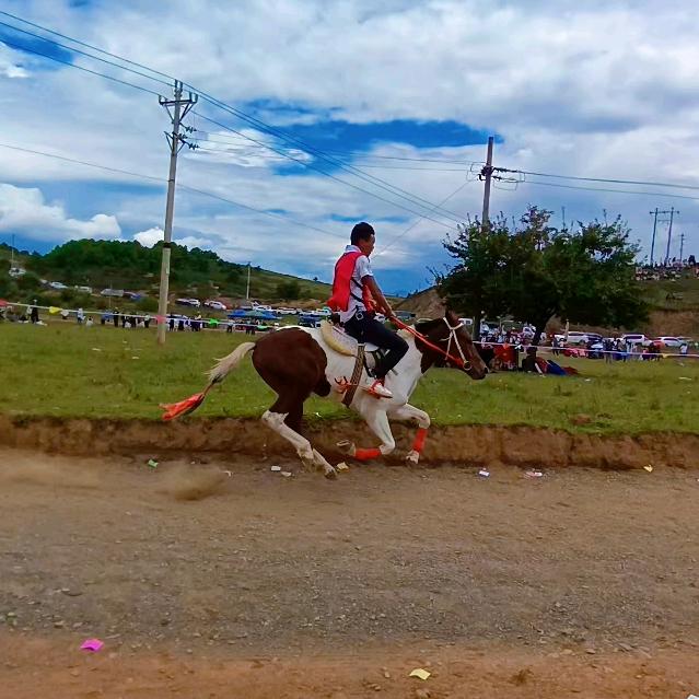 ꦿ꯭情有💞独钟꧔ꦿ🎠
