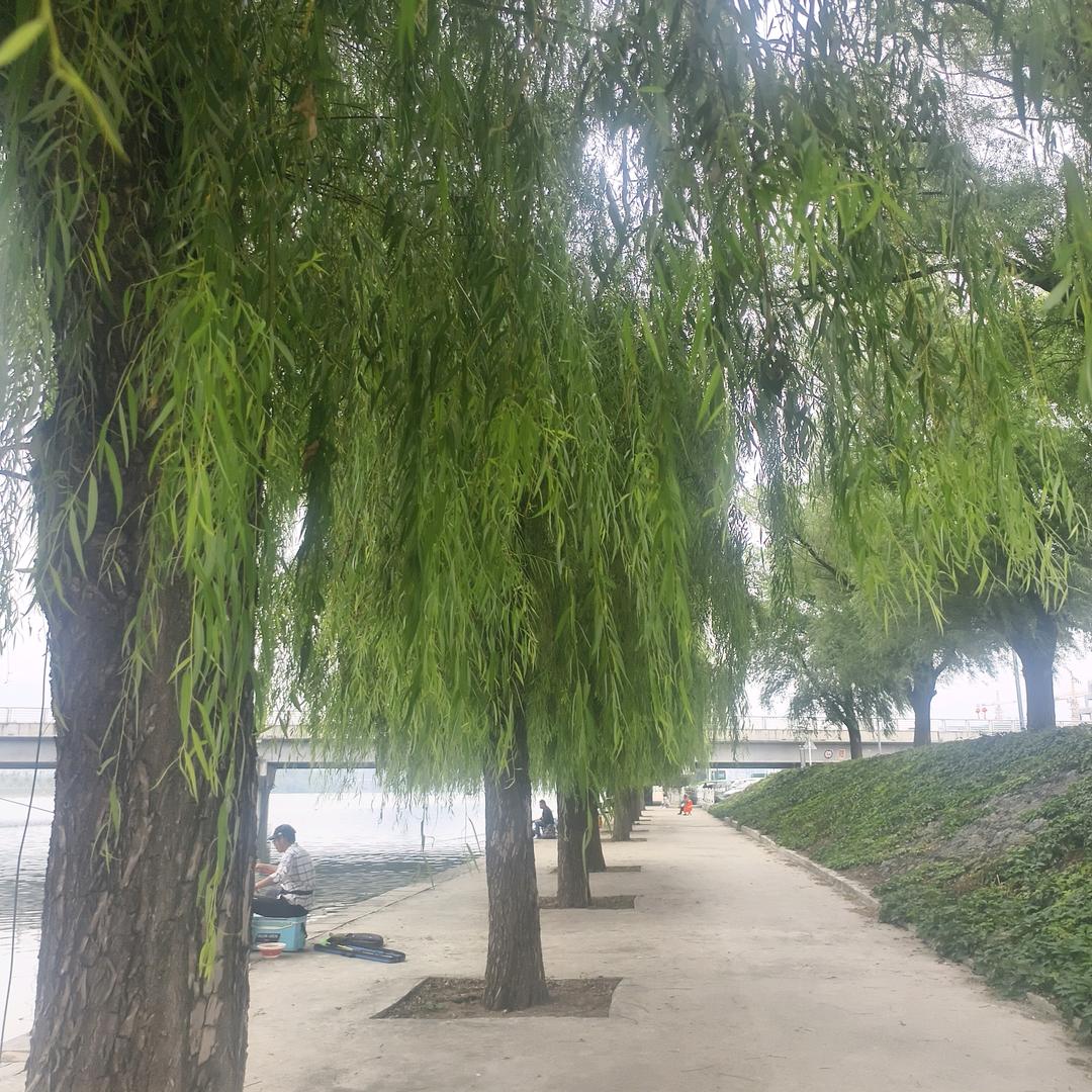 怎么开心 怎么过