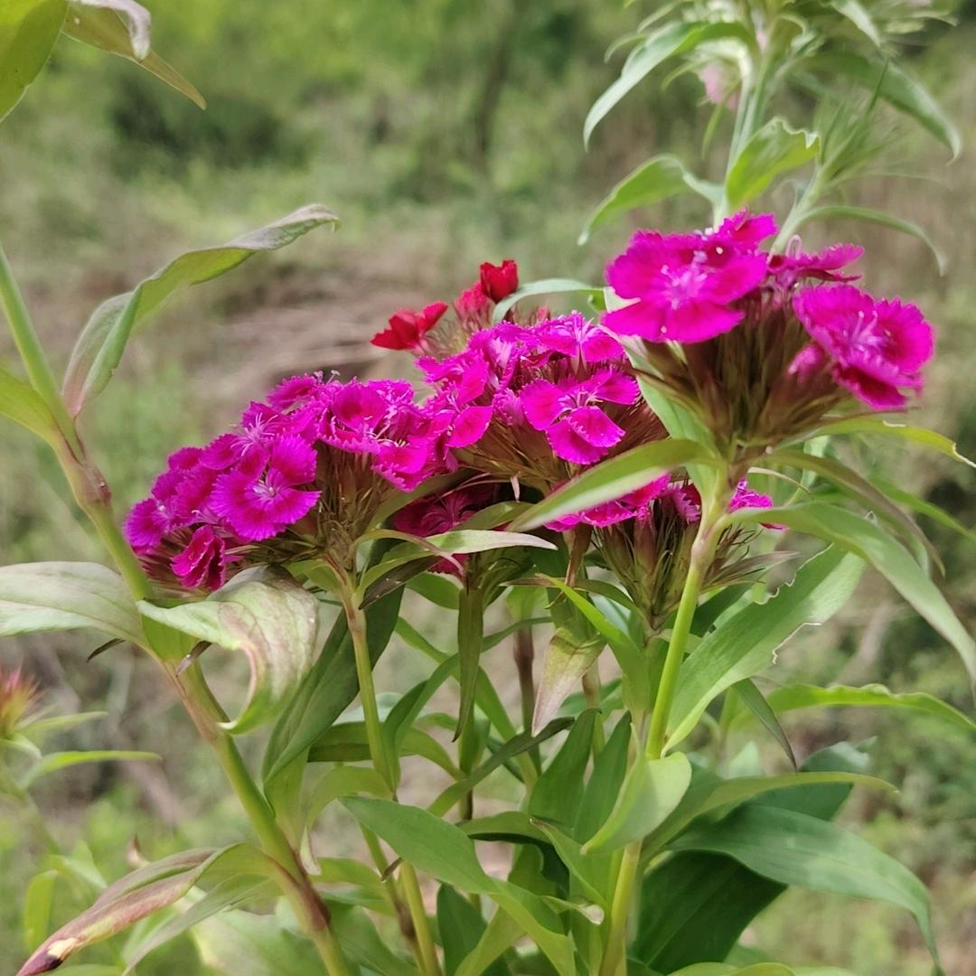 受伤的💜谁来呵护