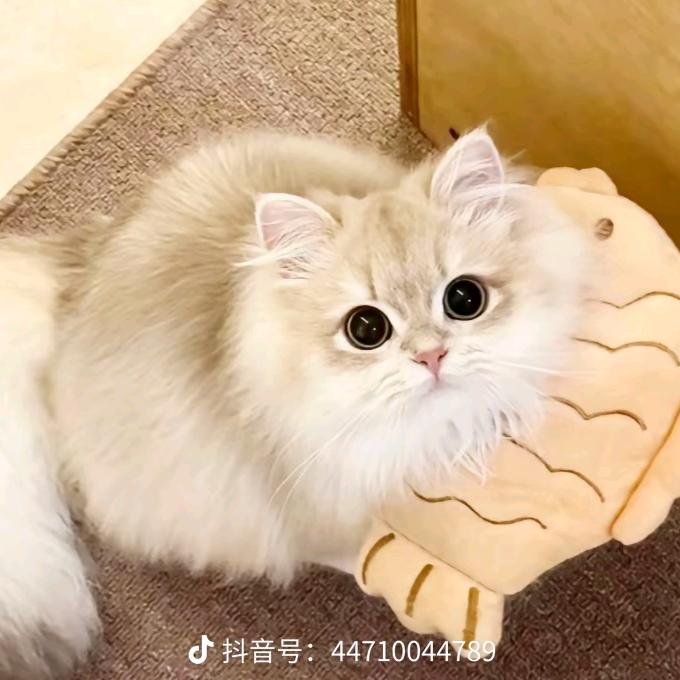 漫步人生路@
