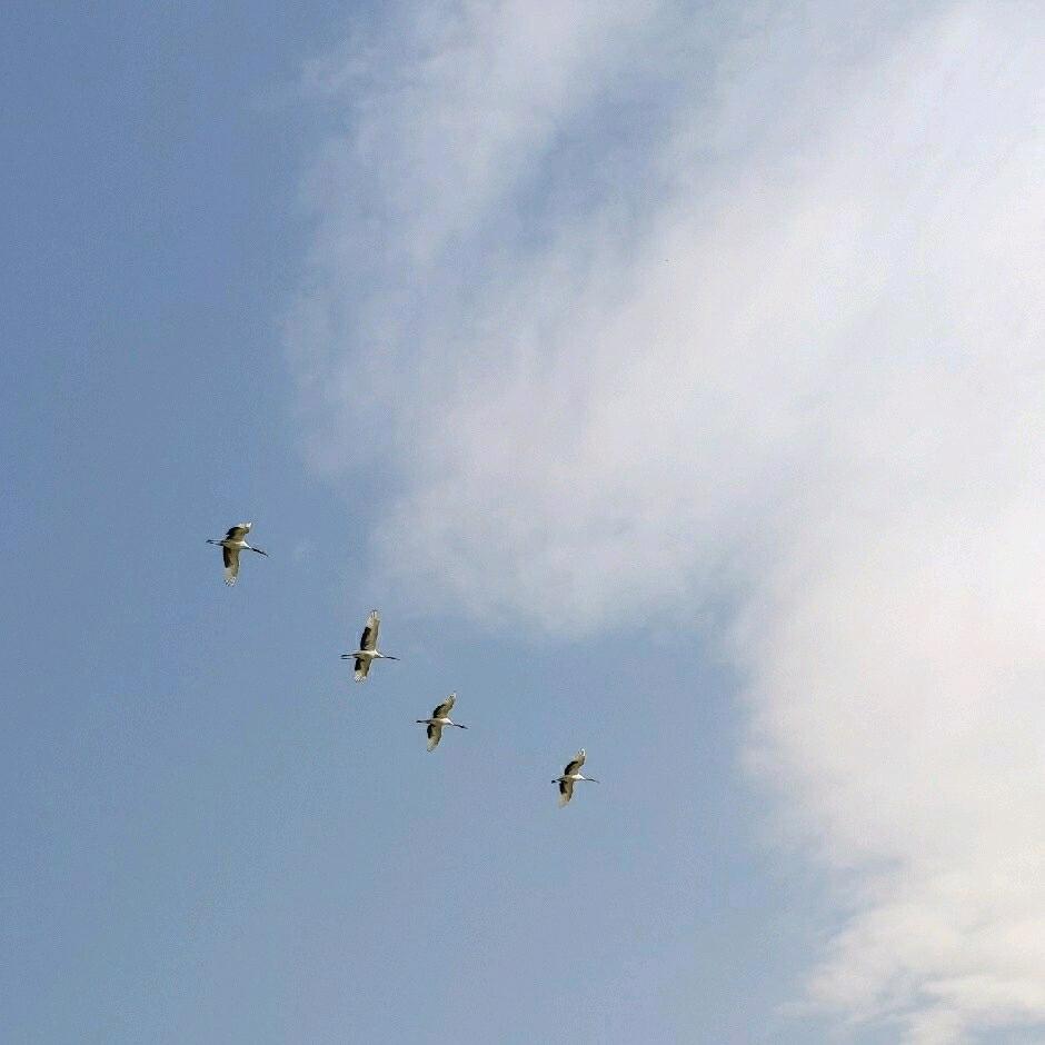 爱唱歌的小峰峰