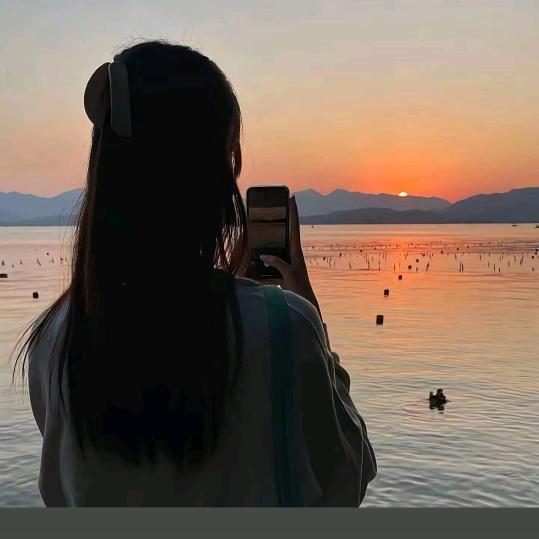 纸鱼