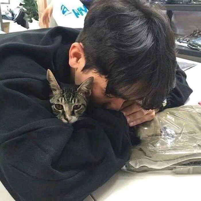 见深山雾.