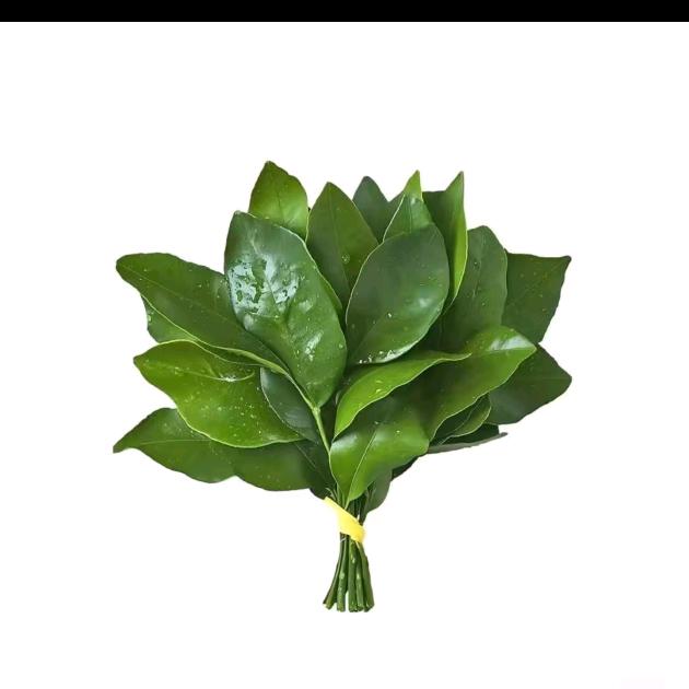 晴