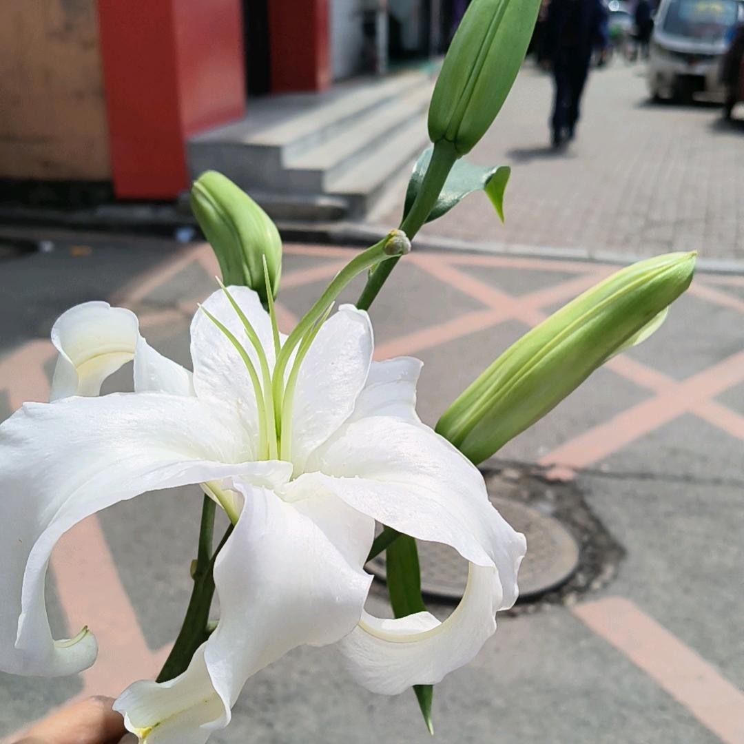 天堂1小糟糕