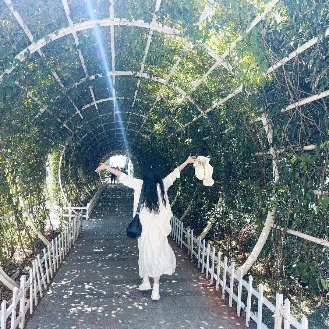 橙子🍊好物推荐