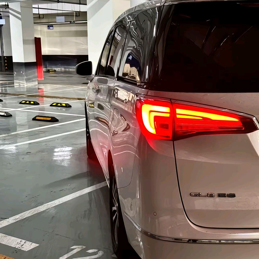 肉肉爸爸👨的gl8