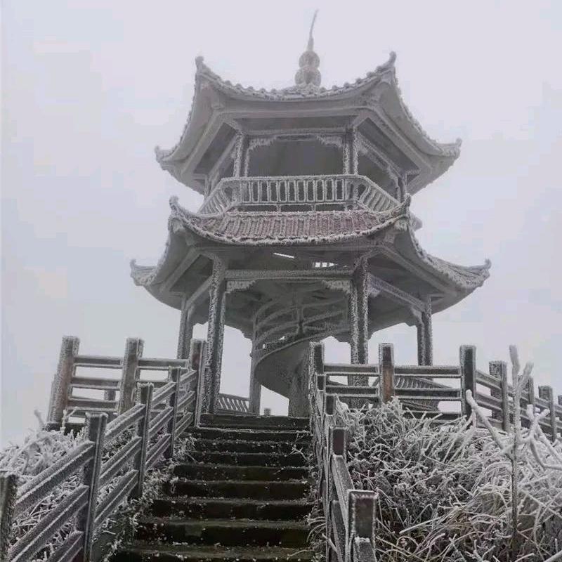 微微一笑