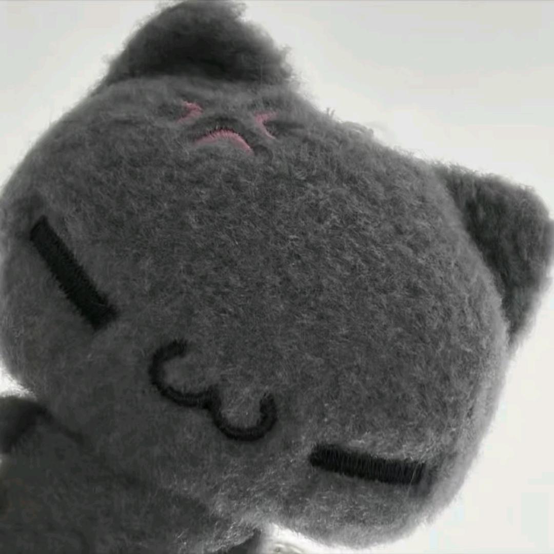 耿耿