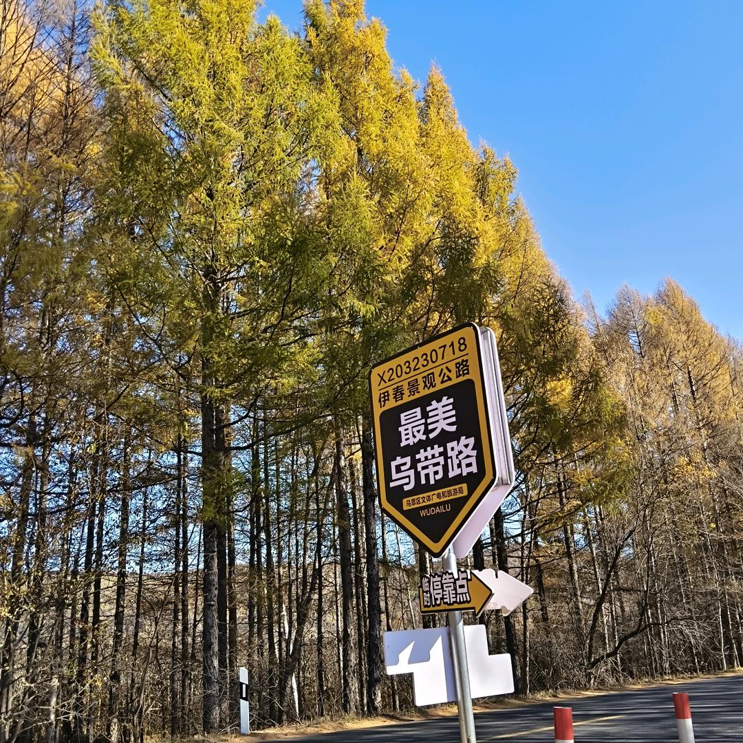 听闻远方有你