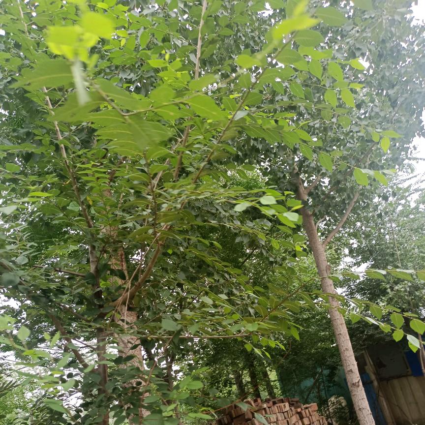 满眼笑意