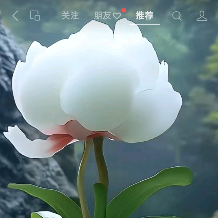 专业清运垃圾小葛