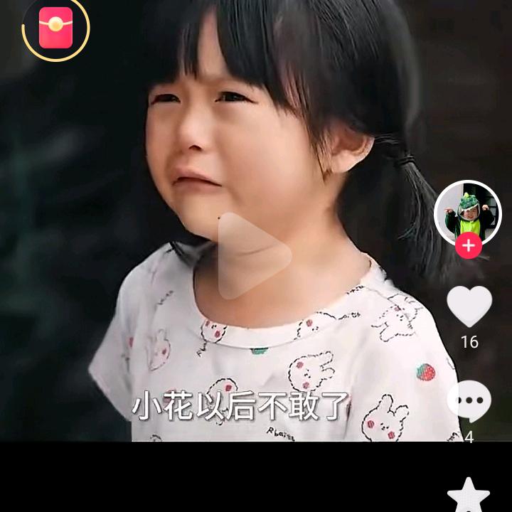 卖菜夏总