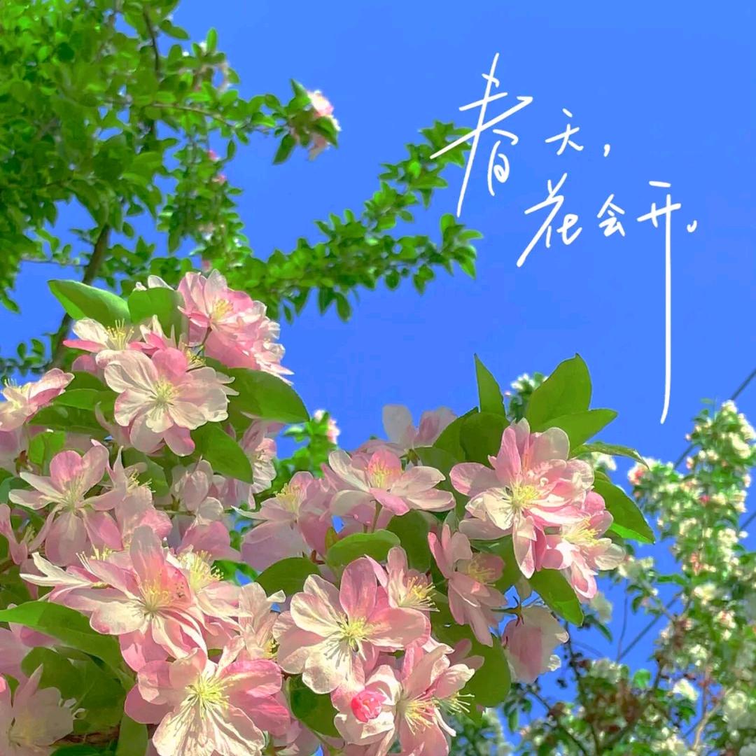 七巷猫友
