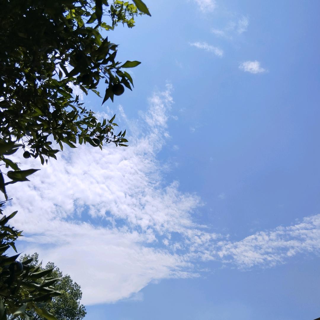 小张不熬夜💞