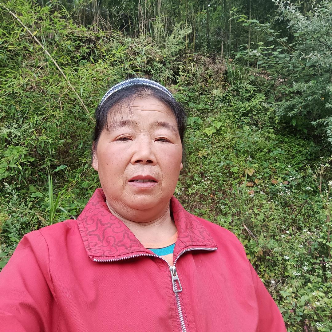 （曾姐）晚上19·20开播