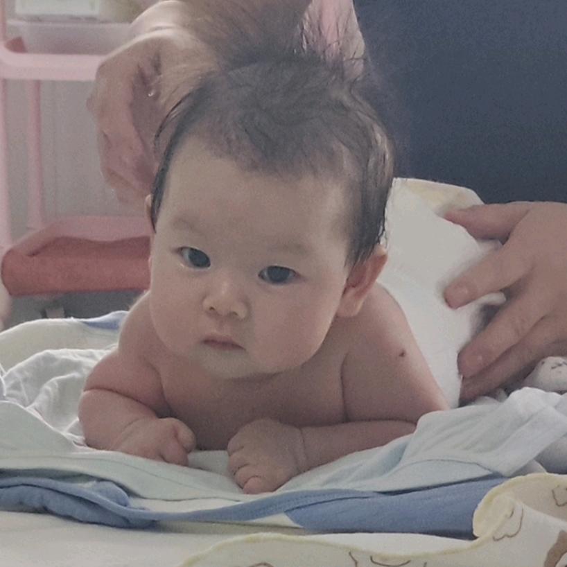 阳阳日记