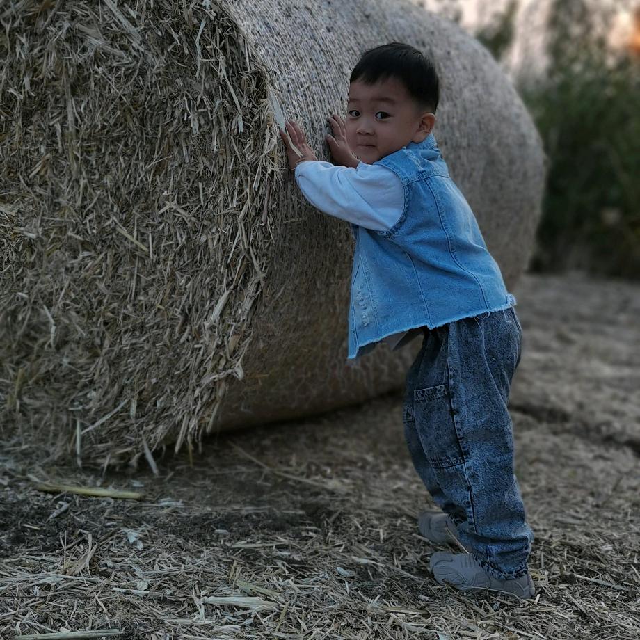 🇨🇳🌱🐐臭宝🌱🐃🇨🇳