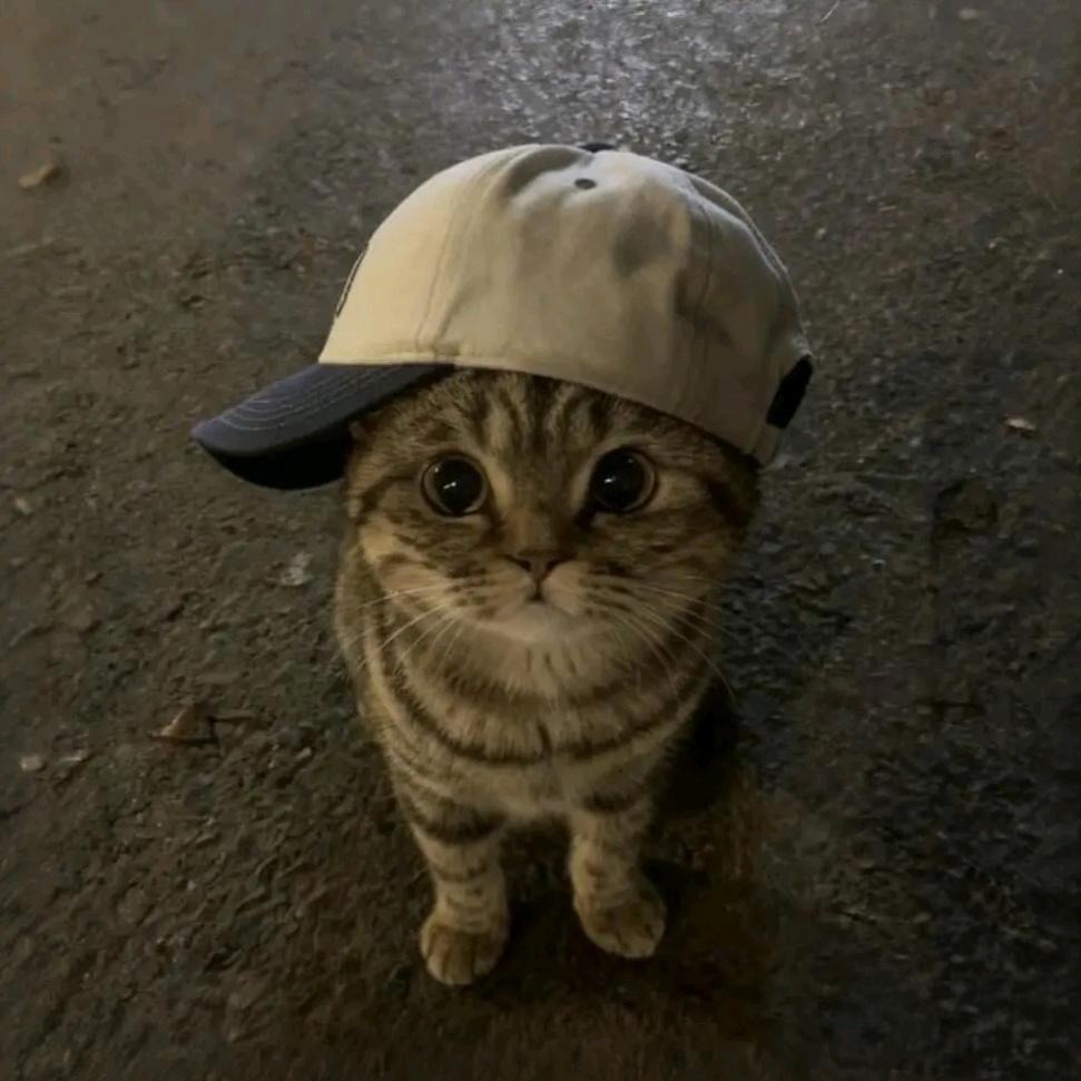 不想起床