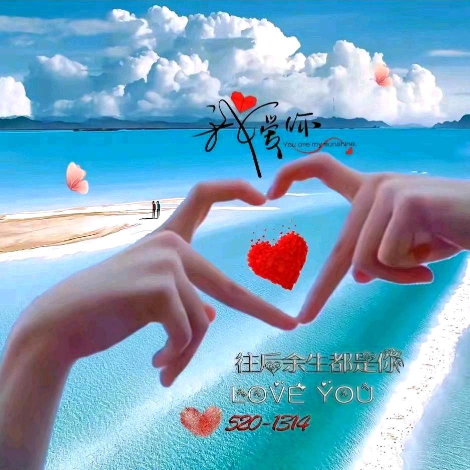 安装，边坡防护网，  被动网  主动网