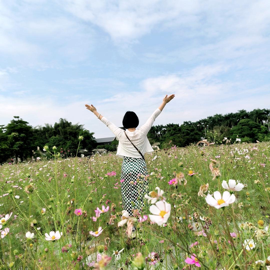突然的自我…（记录学舞蹈）