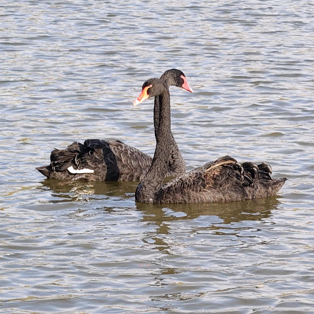 ：ღ赵静᭄ꦿ࿐