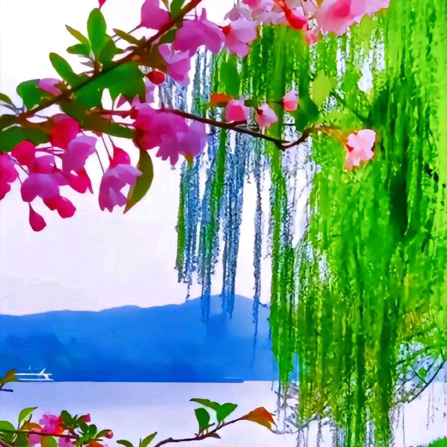 幸福🌺🌺🌺四叶草🌷🌷🍀🍀