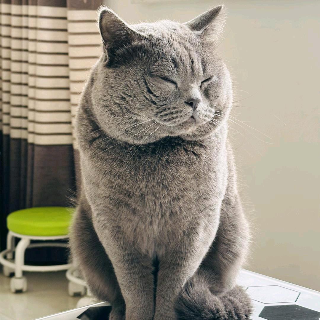 是小点点吧